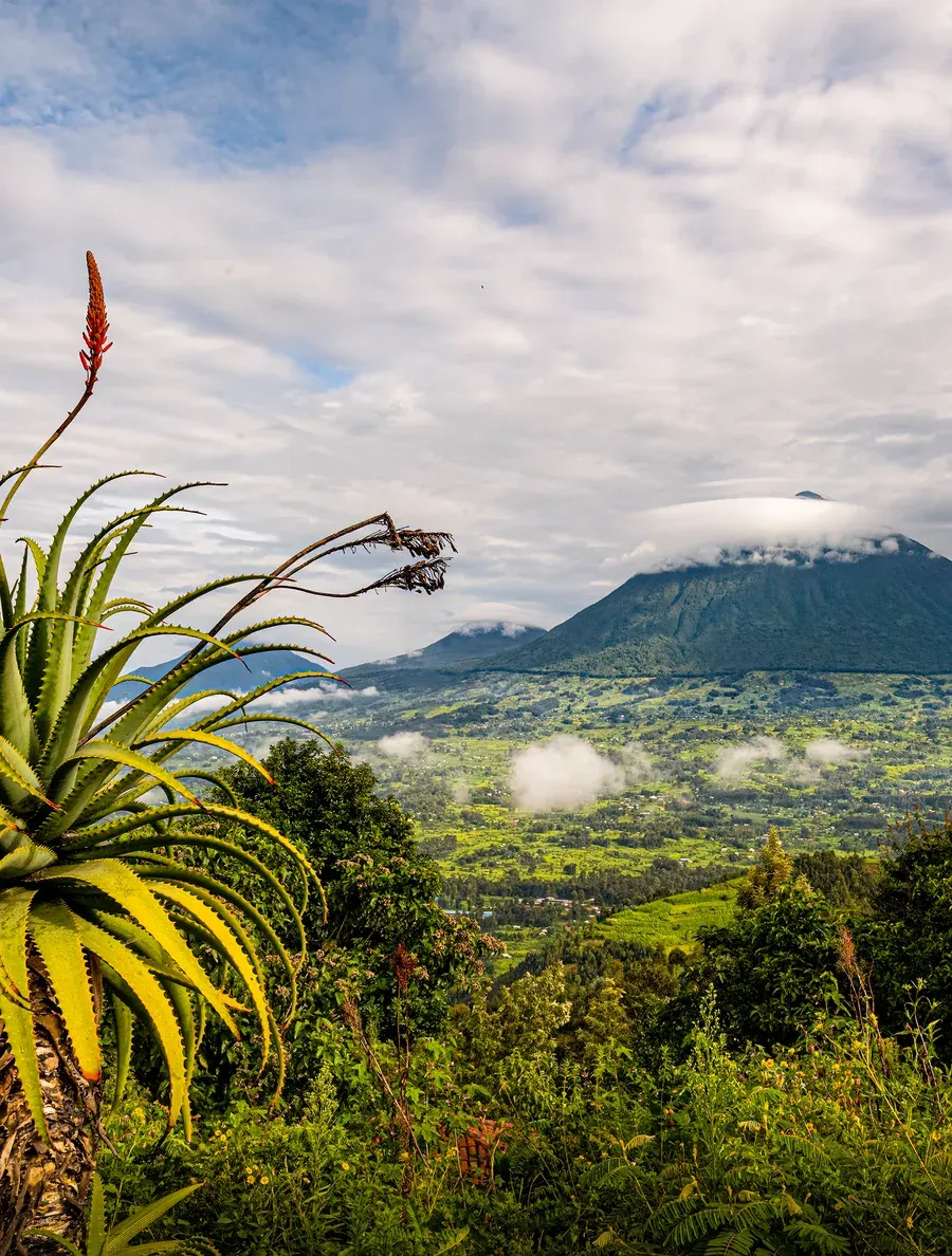 Mist over the Virunga volcanoes above the green valleys of Musanze